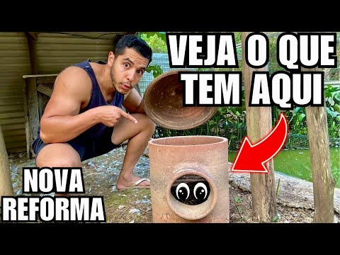 Veja o que encontrei neste Ninho | Ideia de nova Reforma para os cisnes | Aves Recriar