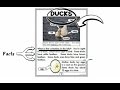Text Features and Writing Structures