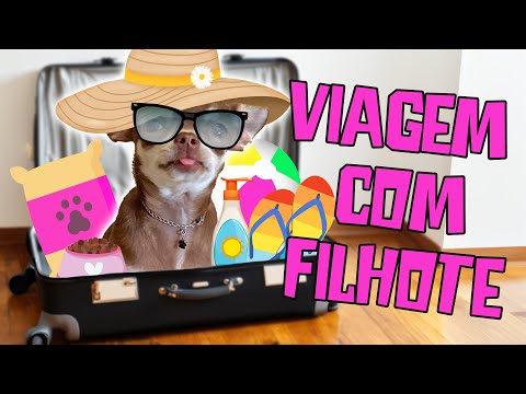 DICA PARA VIAJAR COM FILHOTE!