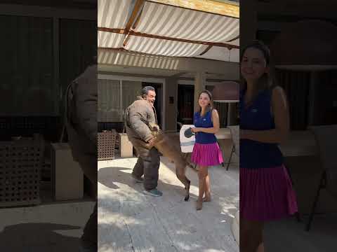 Treino de defesa com os melhores! Não dá nem tempo de piscar que o Shark ataca