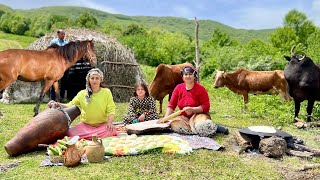 Nomadic Life in Iran | Milking Cows and Making Butter, Cheese & Dairy Products