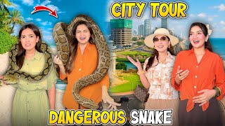 My First Dangerous Snake 🐍 😰Experience | Colombo city tour🌴 | Hira Faisal | Sistrology.