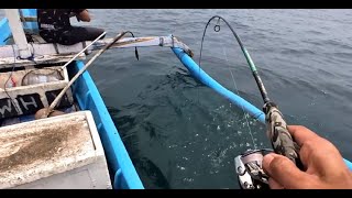 Cara Mancing Tanpa Umpan Full Strike No edit Ultralight Jigging