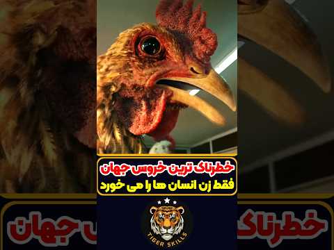 عجیب ترین مرد جهان که هرگز نباید به دستش تخم مرغ داد! معرفی بهترین فیلم ها و سریال های جهان #review