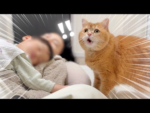 2歳の弟が心配で様子を見にきたら、大変なことに…！