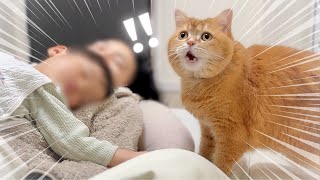2歳の弟が心配で様子を見にきたら、大変なことに…！