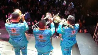 BANDA LA PERRONA DE ENSENADA BC. "El viejon"