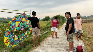 Live Paksa terbangkan dari jarak jauh layangan ini