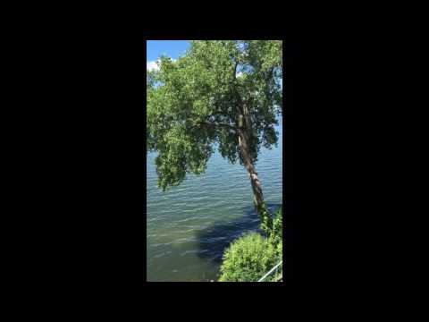 Apartment Video