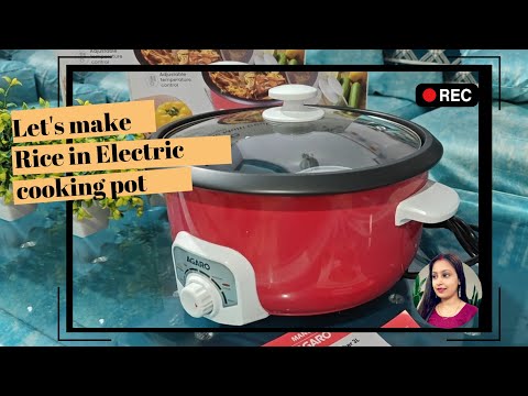 Instant cooking with Electric Multi cooking Pot | Priya saini official