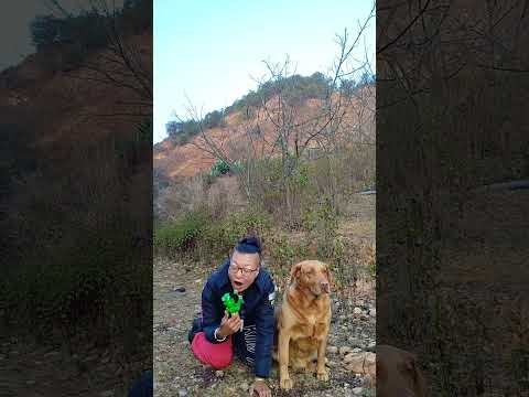 I'll eat the dog, I'll sayThree rural areas