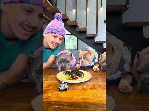 Salmão com Crosta de Gergelim 🤩🐾
