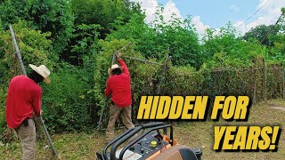 This Yard Was Hiding a SHOCKING Secret Under the Overgrowth…