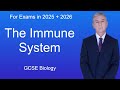 Immune System Functions and Processes