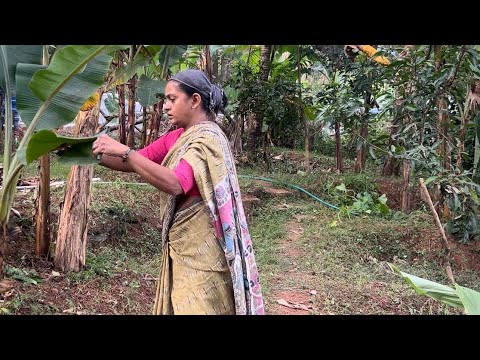 ദോശക്ക് ഒരു കിടിലൻ ചമ്മന്തി|Breakfast|Dosha|Chammanthi|ദോശയും ചമ്മന്തിയും|Easyrecipe|Tifin|