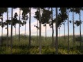 Longleaf Pine Forests and Ecosystems