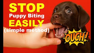 Puppy Biting Problems Solved With This Simple Method!