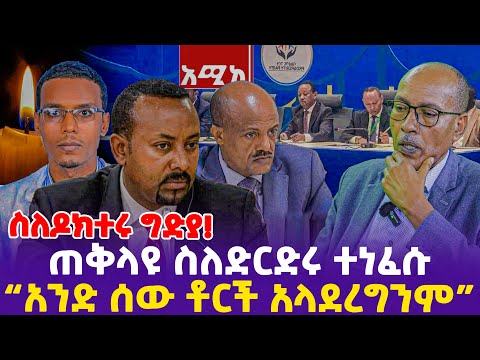 ስለዶክተሩ ግድያ!ጠቅላዩ ስለድርድሩ ተነፈሱ “አንድ ሰው ቶርች አላደረግንም”- Ethiopia, Ethiopia news today