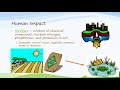 Eutrophication and Aquatic Ecosystems