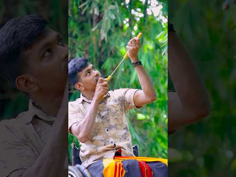 බට ලී තුවක්කුව #trending #childhood #nature #foryou