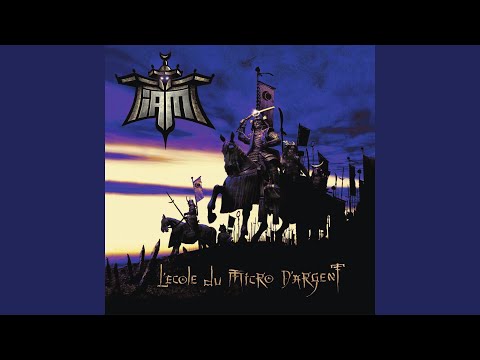 Un bon son brut pour les truands (Instrumental)