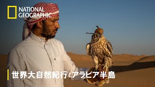【FULL】世界大自然紀行：アラビア半島 (声：宮田俊哉) 第1話「命輝く国 オマーン」 | ナショジオ