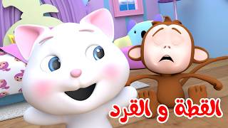 القطة والقرد -شيكو بالسجن - الشرطة القوية | وناسة لولو