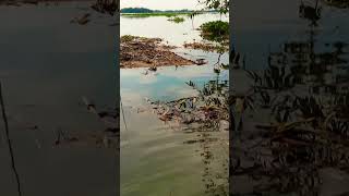 মন আমার তোর কিনারে হারানো দিন ### শর্ট ভিডিও