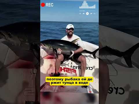 Рыба дрожит со страху