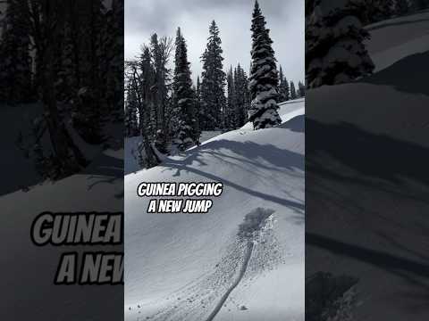 Nightmare fuel π
#snowboarding #tips #snowboard #fail #skiing