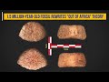 Hominin Migration and Tool Use