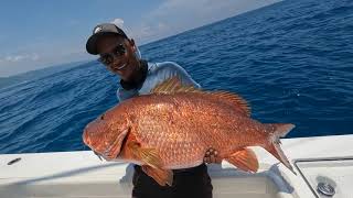 Crocodile Bay in Costa Rica