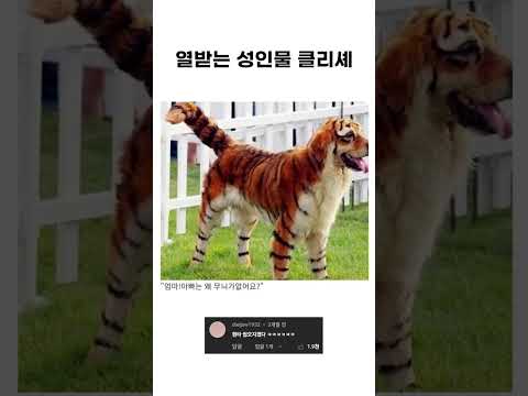 개천박하고 저급하고 수준낮은 히토미 클리셰 더빙