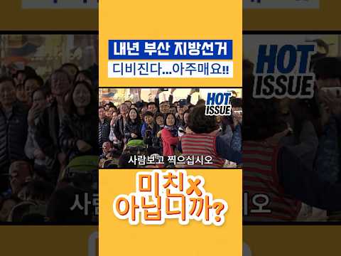 내년 부산 지방선거..디비진다..아주매요..박형준 시장 그만보입시다.