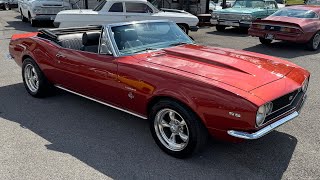 Test Drive 1967 Chevrolet Camaro Convertible $47,900 Maple Motors #3184