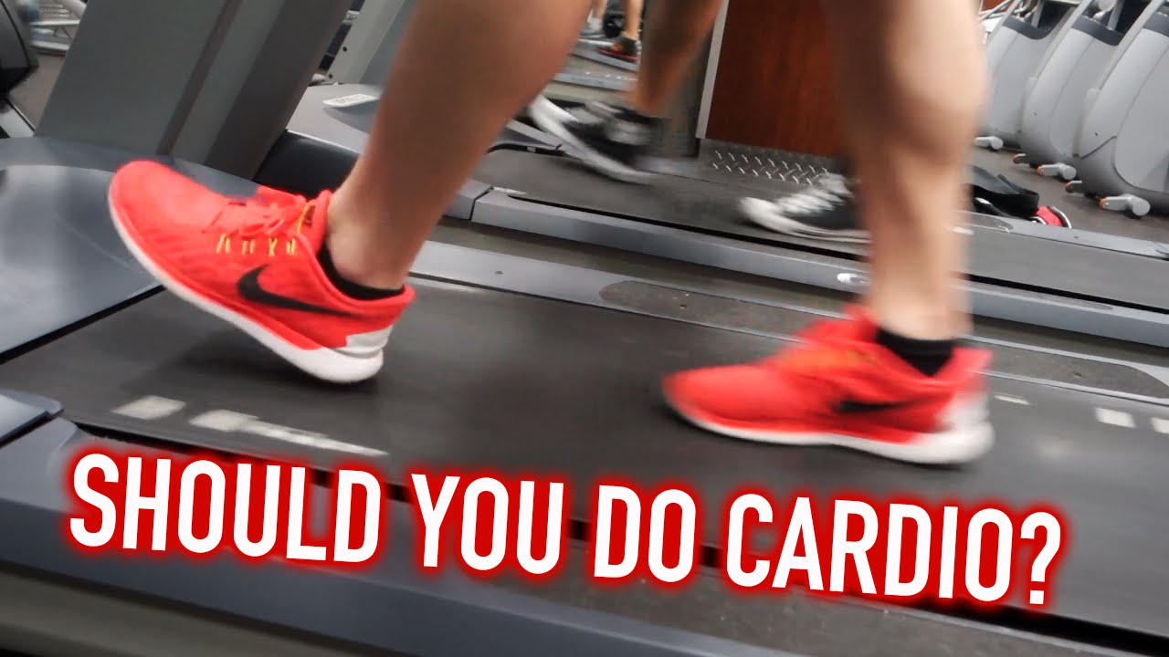 Should You Do Cardio? + 375 lb Bench Press ALL-TIME PR
