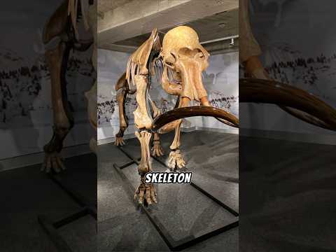 These Crazy Things Were Found In Peoples Backyards