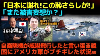 【海外の反応】衝撃！「日本が威嚇してきたんだ！」自衛隊機が低空で威嚇飛行をしたと非難する韓国…アメリカ軍幹部の反論に絶句した理由