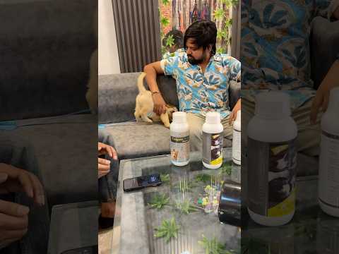 Hamara new member 😍#shorts #minivlog #dog #doglover #pets #hearttouching
