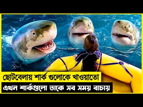 শার্কগুলোর সাথে বন্ধুত্ব হয়ে যায় বাচ্চাটার , এরপরেই তার জীবনটা পালটে যায়। movie explain bangla