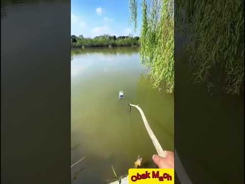 মাছ ধরতেই হবে | Mach dhortei hobe | hook fishing shorts #fishing #ytshorts #shorts
