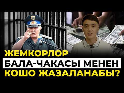 Ташиевдин коррупцияга каршы мыйзамы. Эмне өзгөрөт?