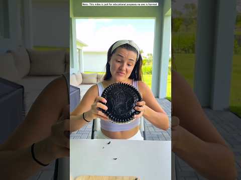 Tool Item😍! New Viral Gadget, smart appliances, Kitchen Utensils/Home Inventions #shorts #gadgets