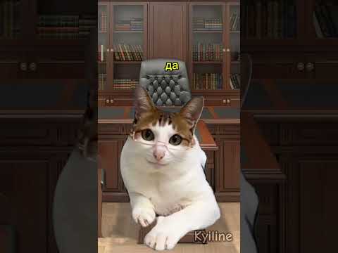 Ученик оказался умнее всех 😯 #мем#котики#shorts#рек