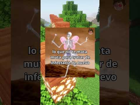 Memes Baratos