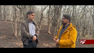 روایتی از آتش سوزی عمدی جنگل های رودبار و گیلان همزمان با شروع آَشوب ها در سطح کشور