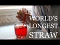 Understanding the Science of Straws