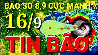 Weather forecast for today and tomorrow 16/09 | Urgent Storm News Heavy Rain / Truyền Hình CIA