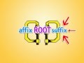 Exploring Suffixes and Their Impact on Language