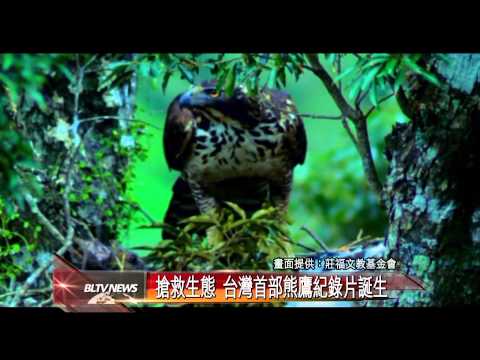 20140717 搶救生態 台灣首部熊鷹紀錄片誕生 - YouTube(2分16秒)